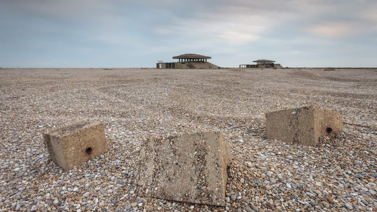 Vegetated shingle looking out towards the pagodas